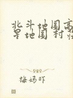 北斗地图高清卫星地图 村庄