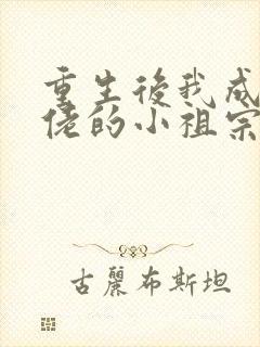 重生后我成了大佬的小祖宗