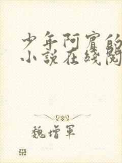 少年阿宾的故事小说在线阅读