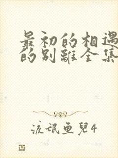 最初的相遇最后的别离全集在线看