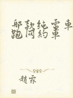 哪款纯电车适合跑网约车