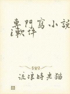 专门写小说的ai软件