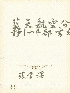 蓝天航空公司王静1~4部玄幻小说