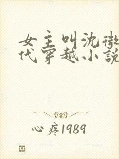 女主叫沈微的古代穿越小说