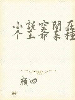 小说空间在手捡个王爷来种田