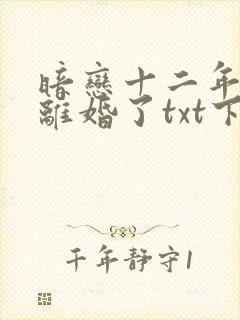 暗恋十二年的他离婚了txt下载