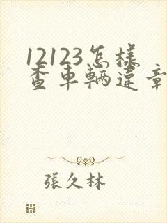 12123怎样查车辆违章编号