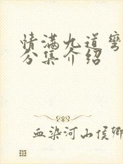 情满九道弯剧情分集介绍