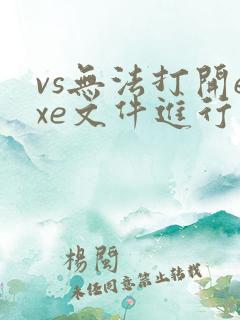 vs无法打开exe文件进行写入