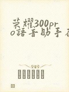 荣耀300pro语音助手在哪里能找到