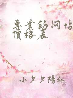 专业的网站建设价格表