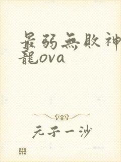 最弱无败神装机龙ova