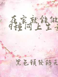 在家就能做的99种网上生意