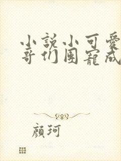 小说小可爱被哥哥们团宠成了大佬