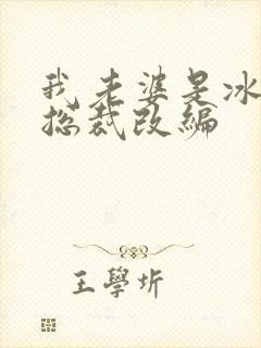 我老婆是冰山女总裁改编