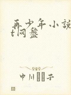 再少年小说txt网盘