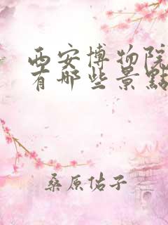 西安博物院周边有哪些景点