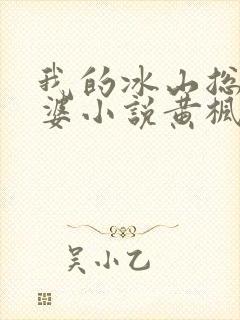 我的冰山总裁老婆小说黄枫雨天