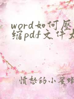 word如何压缩pdf文件大小