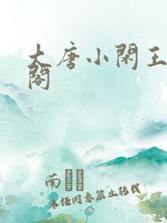 大唐小闲王笔趣阁