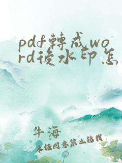 pdf转成word后水印怎么去掉