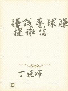 赚钱台球赚现金 提微信