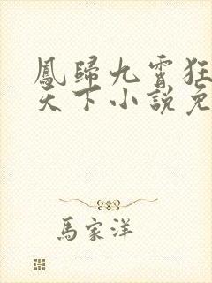 凤归九霄狂妃逆天下小说免费