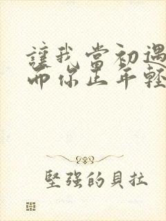 让我当初遇见你而你正年轻是什么歌