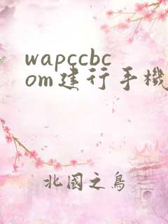 wapccbcom建行手机银行