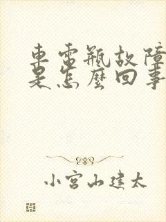 车电瓶故障灯亮是怎么回事