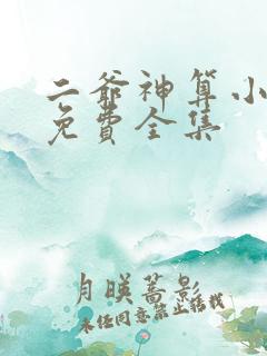 二爷神算小萌妻免费全集