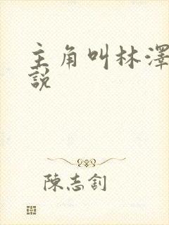 主角叫林泽的小说