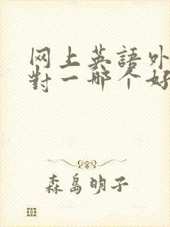 网上英语外教一对一哪个好