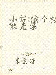 小说:捡个校花做老婆