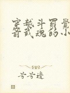 穿越斗罗觉醒弓箭武魂的小说