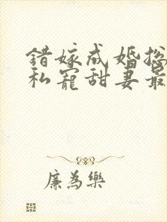 错嫁成婚总裁的私宠甜妻最新