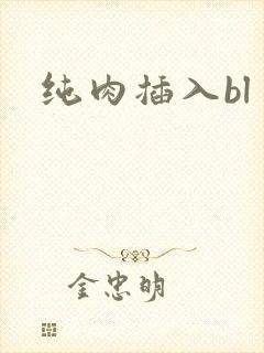 纯肉插入bl