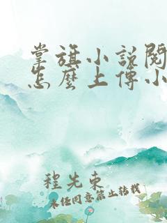 掌旗小说阅读器怎么上传小说