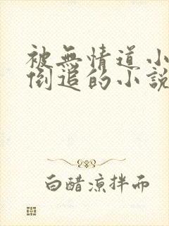 被无情道小师弟倒追的小说