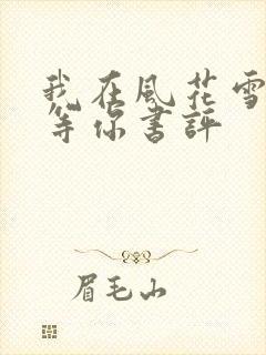 我在风花雪月里等你书评