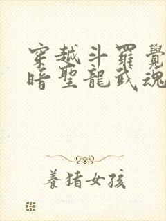 穿越斗罗觉醒黑暗圣龙武魂的小说