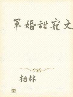 军婚甜宠文推荐