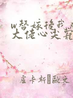 w替嫁后我成了大佬心尖宠》