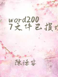 word2007文件已损坏,无法打开