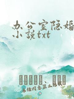 办公室隐婚轻黯小说txt