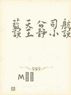 蓝天公司航空小说王静小说