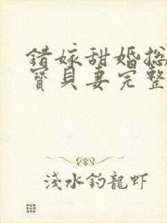 错嫁甜婚总裁的宝贝妻完整小说