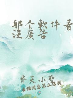 那个软件看小说没广告