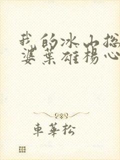 我的冰山总裁老婆叶雄杨心怡