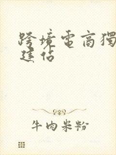 跨境电商独立站建站